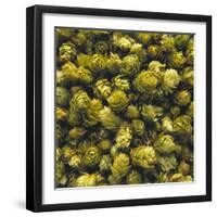 Hops (Filling the Picture)-Herbert Lehmann-Framed Photographic Print