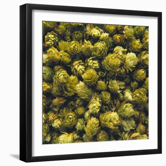 Hops (Filling the Picture)-Herbert Lehmann-Framed Photographic Print