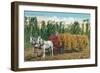 Hops Harvest in California-null-Framed Art Print