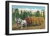 Hops Harvest in California-null-Framed Art Print