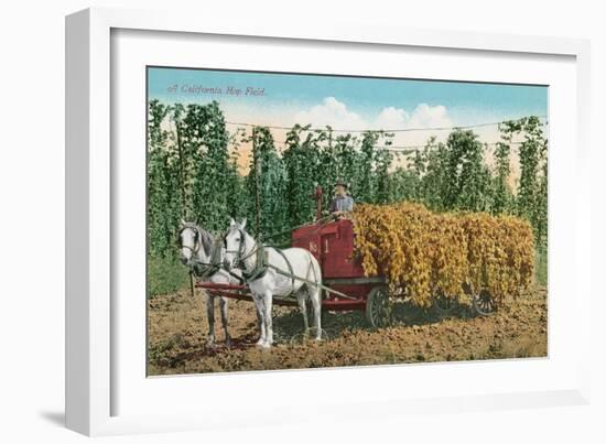 Hops Harvest in California-null-Framed Art Print