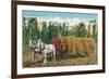 Hops Harvest in California-null-Framed Art Print