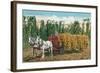 Hops Harvest in California-null-Framed Art Print