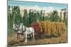 Hops Harvest in California-null-Mounted Art Print