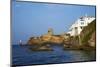 Hora, Andros Island, Cyclades, Greek Islands, Greece, Europe-Tuul-Mounted Photographic Print