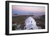 Hora, Serifos Island, Cyclades, Greek Islands, Greece, Europe-Tuul-Framed Photographic Print