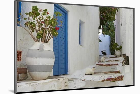 Hora, Serifos Island, Cyclades, Greek Islands, Greece, Europe-Tuul-Mounted Photographic Print