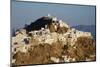 Hora, the Main Town on Serifos on a Rocky Spur, Serifos Island, Cyclades, Greek Islands, Greece-Tuul-Mounted Photographic Print