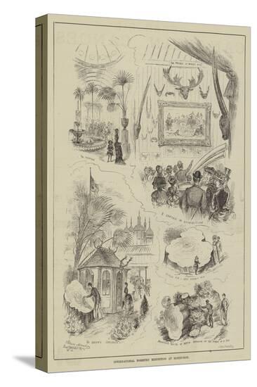 Stretched Canvas Print, , large