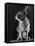 Horace the Irish Hare-Carl Mydans-Framed Stretched Canvas