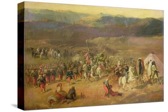 Stretched Canvas Print, , large