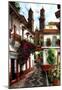 Horacio Robles Jr Old Mexico City Art Print Taxco Poster-null-Mounted Poster