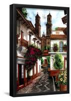 Horacio Robles Jr Old Mexico City Art Print Taxco Poster-null-Framed Poster