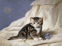 Forget-Me-Not-Horatio Henri Couldery-Stretched Canvas