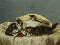 Two Tabby Kittens-Horatio Henry Couldery-Giclee Print