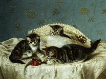 Kittens Up to Mischief-Horatio Henry Couldery-Giclee Print