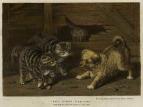 Two Tabby Kittens-Horatio Henry Couldery-Giclee Print
