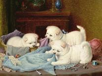 Kittens-Horatio Henry Couldery-Giclee Print