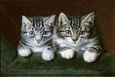 Two Tabby Kittens-Horatio Henry Couldery-Giclee Print