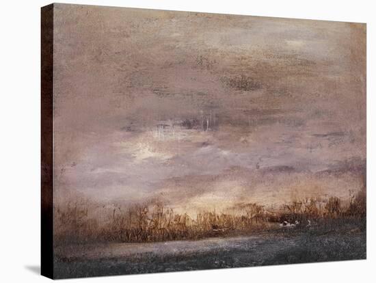 Horizon at Nightfall II-Sharon Gordon-Stretched Canvas