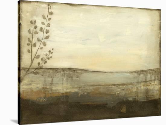 Horizon I-Jennifer Goldberger-Stretched Canvas