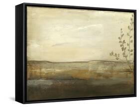 Horizon II-Jennifer Goldberger-Framed Stretched Canvas