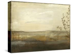 Horizon II-Jennifer Goldberger-Stretched Canvas