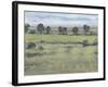 Horizon Time I-Tim O'toole-Framed Art Print