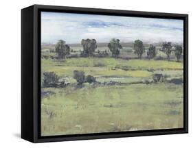 Horizon Time II-Tim O'toole-Framed Stretched Canvas