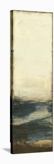 Horizon V-Jennifer Goldberger-Stretched Canvas