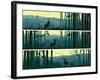 Horizontal Banners of Wild Animals in Hills Wood.-Vertyr-Framed Art Print