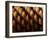 Horizontal Full Frame Macro of a Cone-Chembarisov-Framed Photographic Print