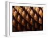 Horizontal Full Frame Macro of a Cone-Chembarisov-Framed Photographic Print