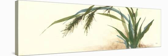 Horizontal Grass II-Chris Paschke-Stretched Canvas