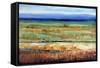 Horizontal Layers-Tim O'toole-Framed Stretched Canvas