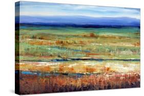 Horizontal Layers-Tim O'toole-Stretched Canvas