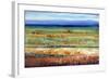 Horizontal Layers-Tim O'toole-Framed Giclee Print