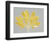 Horizontal Plants 6-Mary Margaret Briggs-Framed Premium Giclee Print