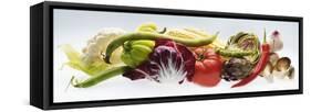 Horizontal Strip of Different Vegetables-null-Framed Stretched Canvas