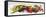 Horizontal Strip of Different Vegetables-null-Framed Stretched Canvas