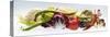 Horizontal Strip of Different Vegetables-null-Stretched Canvas