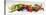 Horizontal Strip of Different Vegetables-null-Stretched Canvas