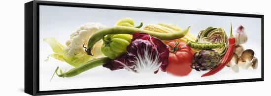 Horizontal Strip of Different Vegetables-null-Framed Stretched Canvas