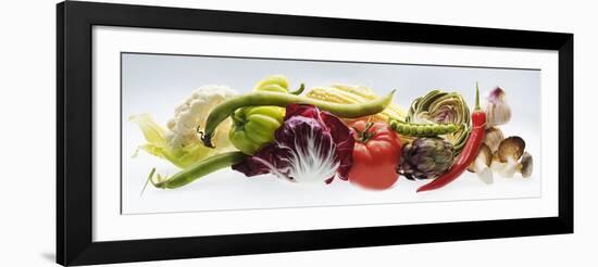 Horizontal Strip of Different Vegetables-null-Framed Photographic Print