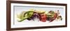 Horizontal Strip of Different Vegetables-null-Framed Photographic Print