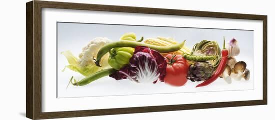 Horizontal Strip of Different Vegetables-null-Framed Photographic Print