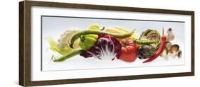 Horizontal Strip of Different Vegetables-null-Framed Photographic Print