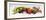 Horizontal Strip of Different Vegetables-null-Framed Photographic Print