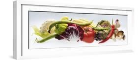 Horizontal Strip of Different Vegetables-null-Framed Photographic Print