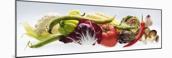 Horizontal Strip of Different Vegetables-null-Mounted Photographic Print